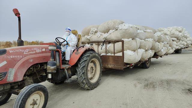 普惠乡34万亩棉花新棉交售有序进行