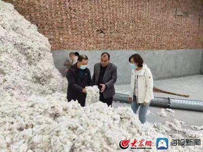 聊城市检验检测中心:加强棉花质量监测 助力棉花质量提升